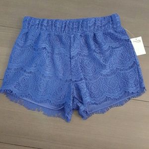 ⬇️NWT Royal blue lace shorts